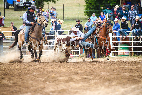 BungendoreRodeo2017_4583
