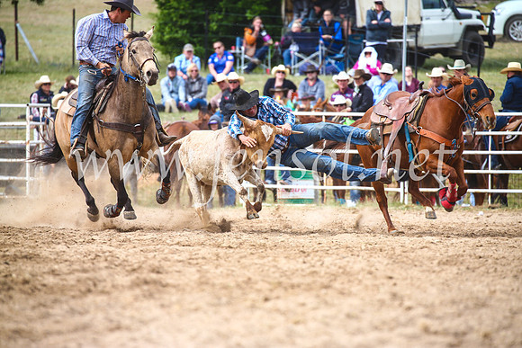 BungendoreRodeo2017_5023
