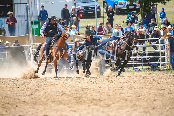 BungendoreRodeo2017_3929