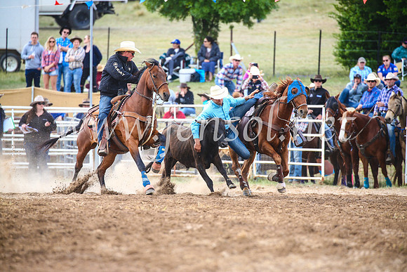 BungendoreRodeo2017_4611