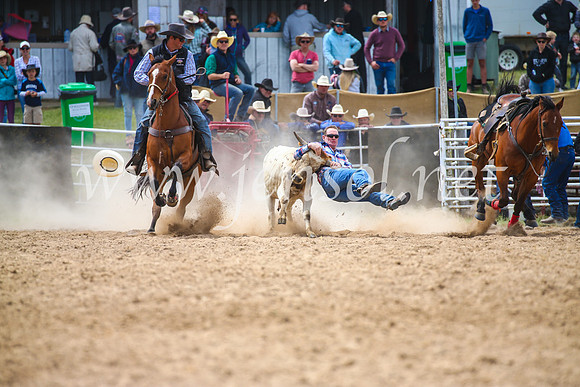 BungendoreRodeo2017_3949