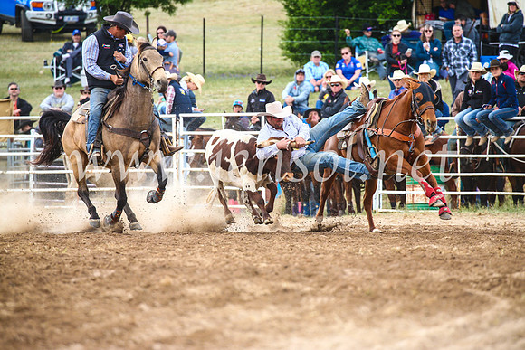 BungendoreRodeo2017_4589