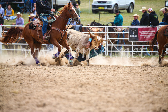 BungendoreRodeo2017_1682