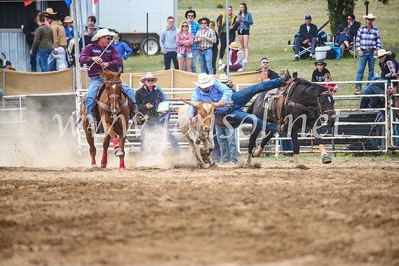 BungendoreRodeo2017_4702