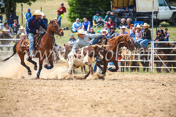 BungendoreRodeo2017_3910