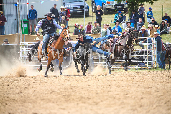 BungendoreRodeo2017_3934