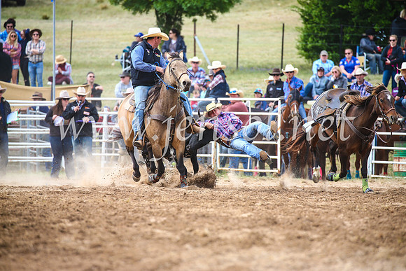 BungendoreRodeo2017_4664