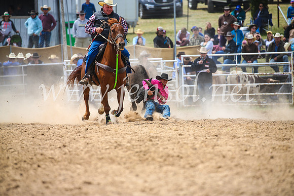BungendoreRodeo2017_3876