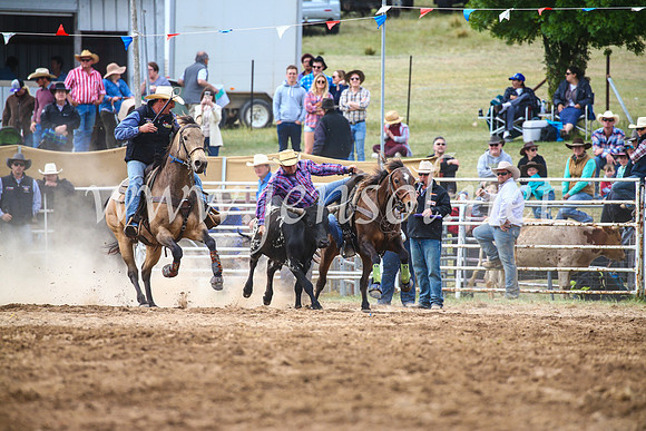 BungendoreRodeo2017_4648