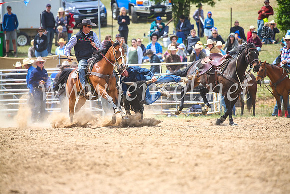BungendoreRodeo2017_3936