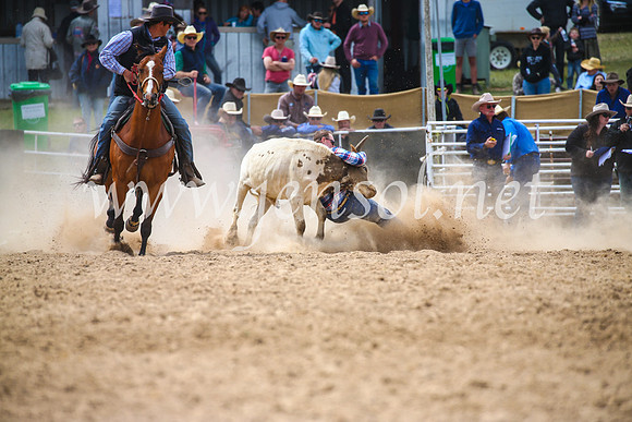 BungendoreRodeo2017_3952