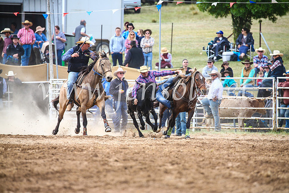 BungendoreRodeo2017_4651
