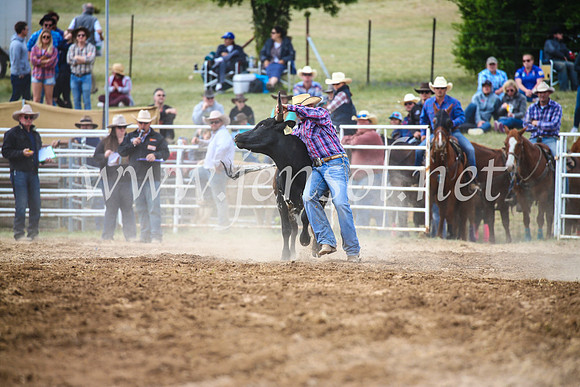 BungendoreRodeo2017_4654