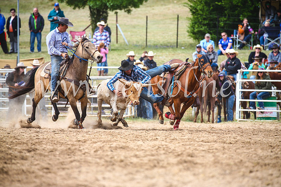 BungendoreRodeo2017_5024