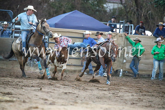 CoomaRodeo2017_3919