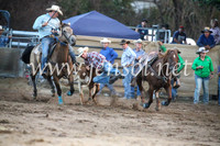 CoomaRodeo2017_3911