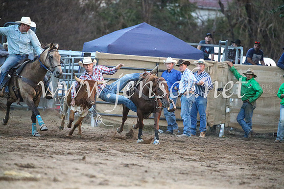 CoomaRodeo2017_3917