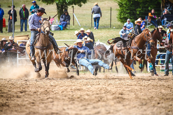 BungendoreRodeo2017_5050