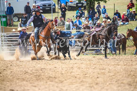 BungendoreRodeo2017_3937