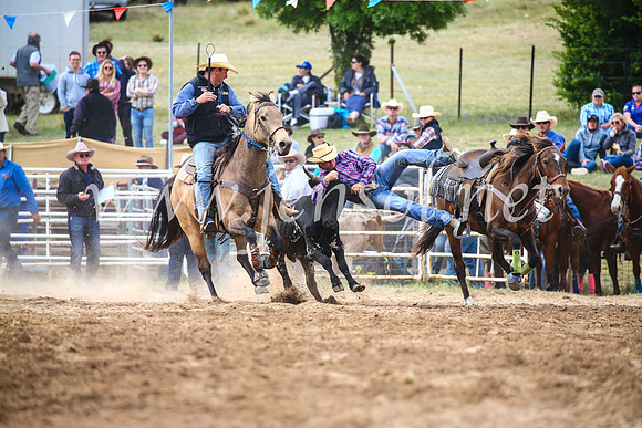 BungendoreRodeo2017_4661