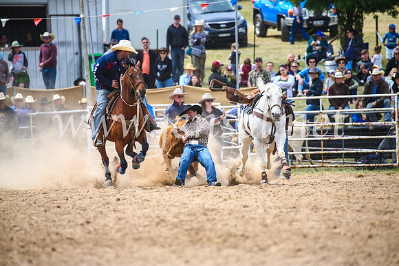 BungendoreRodeo2017_3888