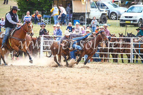 BungendoreRodeo2017_1647