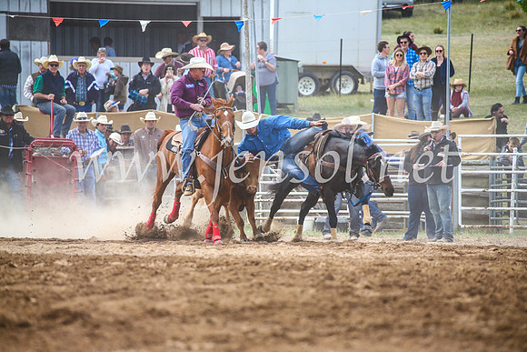 BungendoreRodeo2017_4637