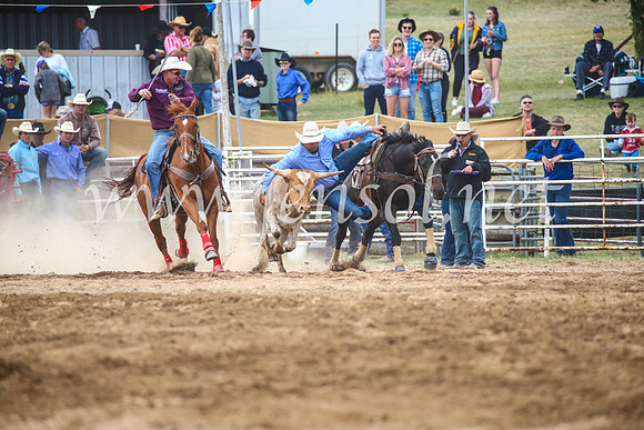BungendoreRodeo2017_4706