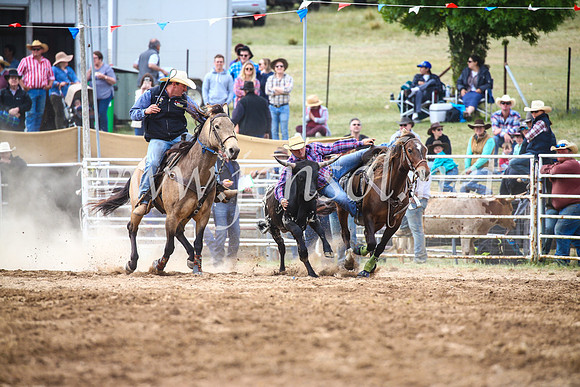 BungendoreRodeo2017_4646