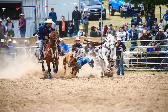 BungendoreRodeo2017_3892