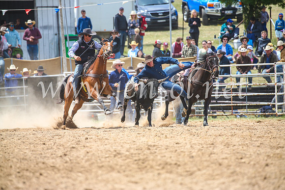 BungendoreRodeo2017_3928