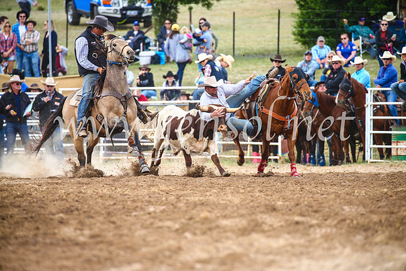 BungendoreRodeo2017_4581