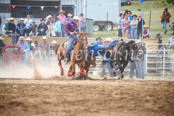 BungendoreRodeo2017_4635