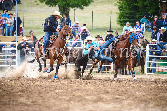 BungendoreRodeo2017_4613