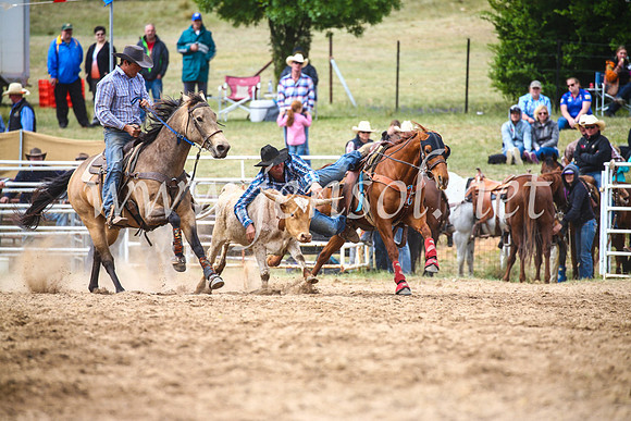 BungendoreRodeo2017_5027