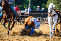 TumutRodeo2017_0917