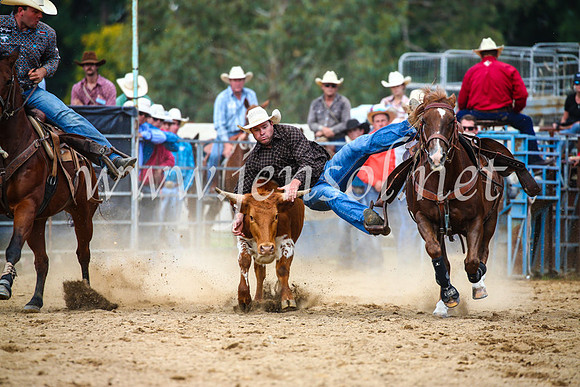TumutRodeo2017_2165