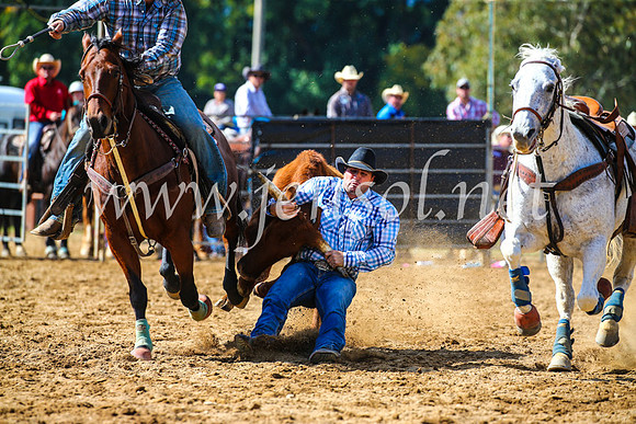 TumutRodeo2017_0925