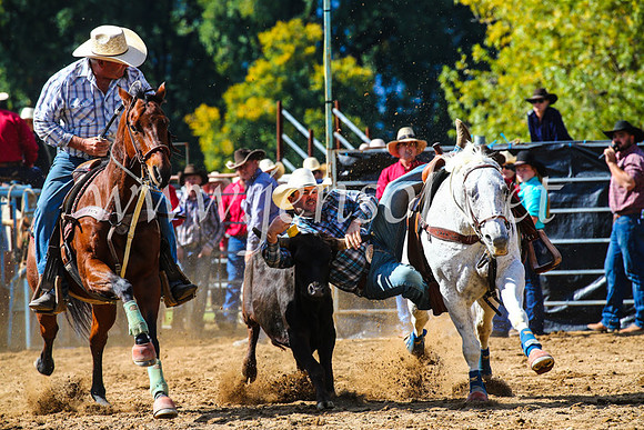 TumutRodeo2017_0903