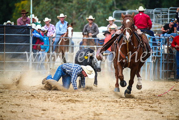 TumutRodeo2017_2178