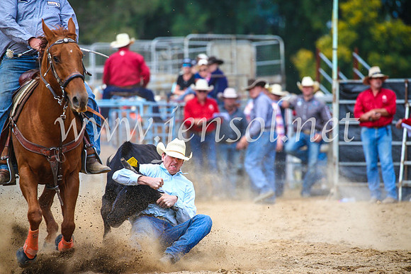 TumutRodeo2017_2218