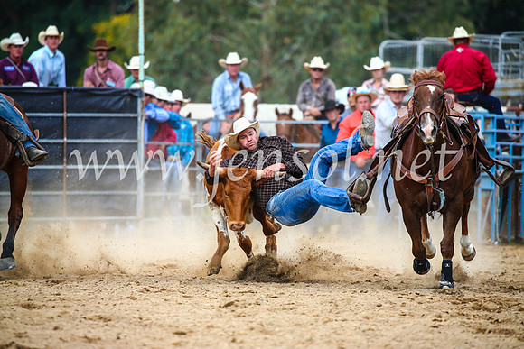 TumutRodeo2017_2158
