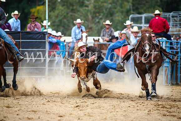 TumutRodeo2017_2162