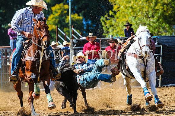 TumutRodeo2017_0914