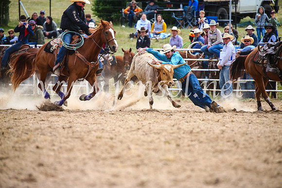 BungendoreRodeo2017_1667