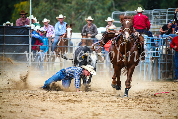 TumutRodeo2017_2179