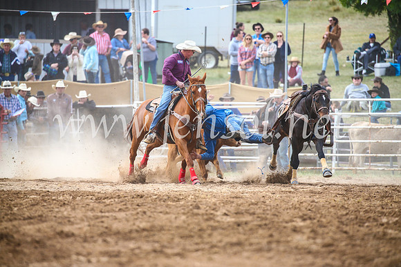 BungendoreRodeo2017_4632