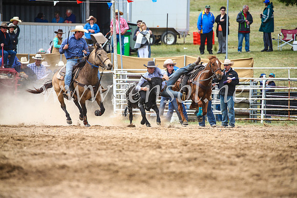 BungendoreRodeo2017_5008