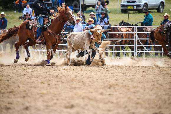 BungendoreRodeo2017_1683