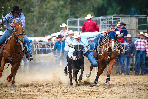 TumutRodeo2017_2212